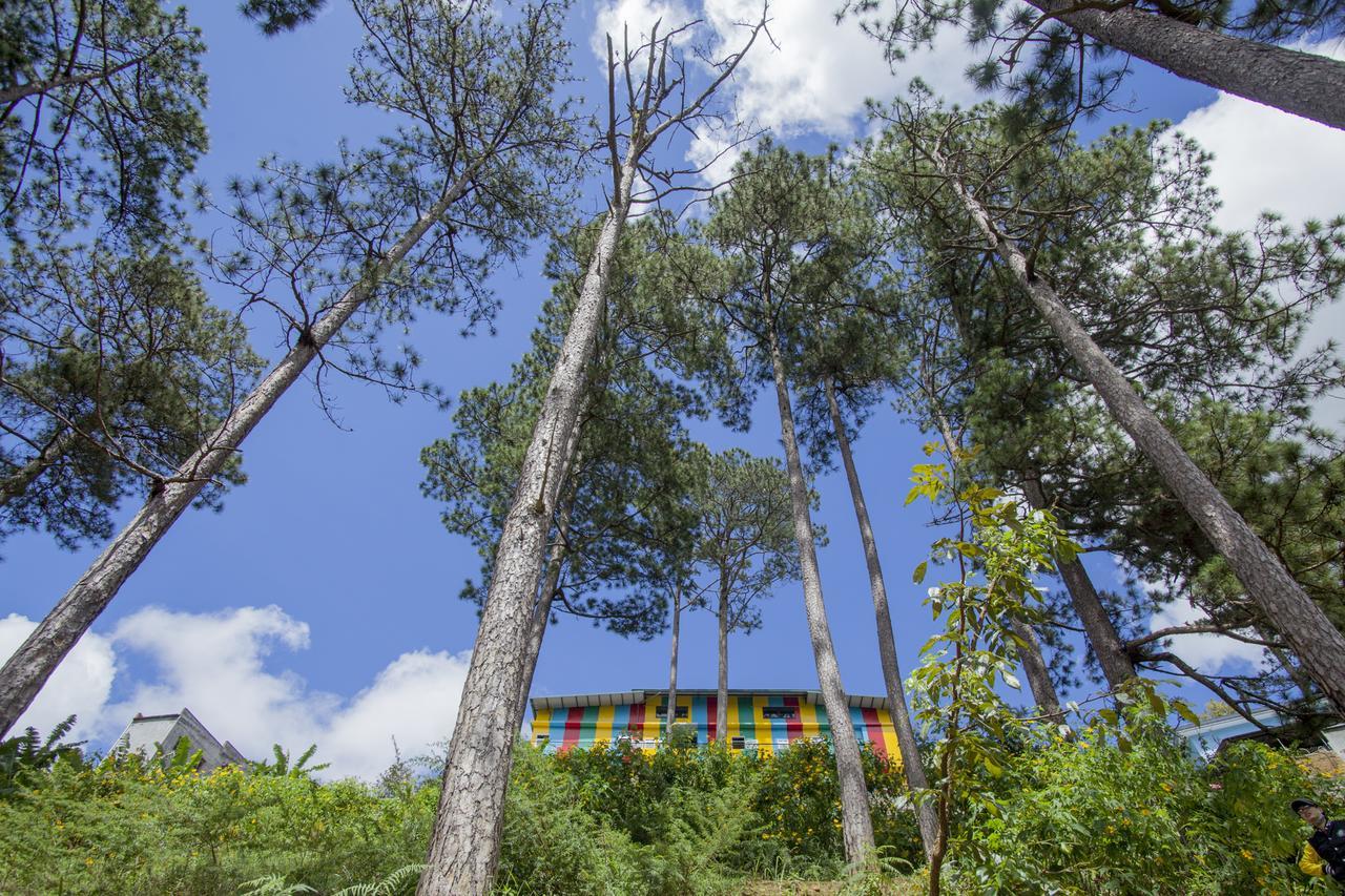 Icolor Dalat Hostel ภายนอก รูปภาพ